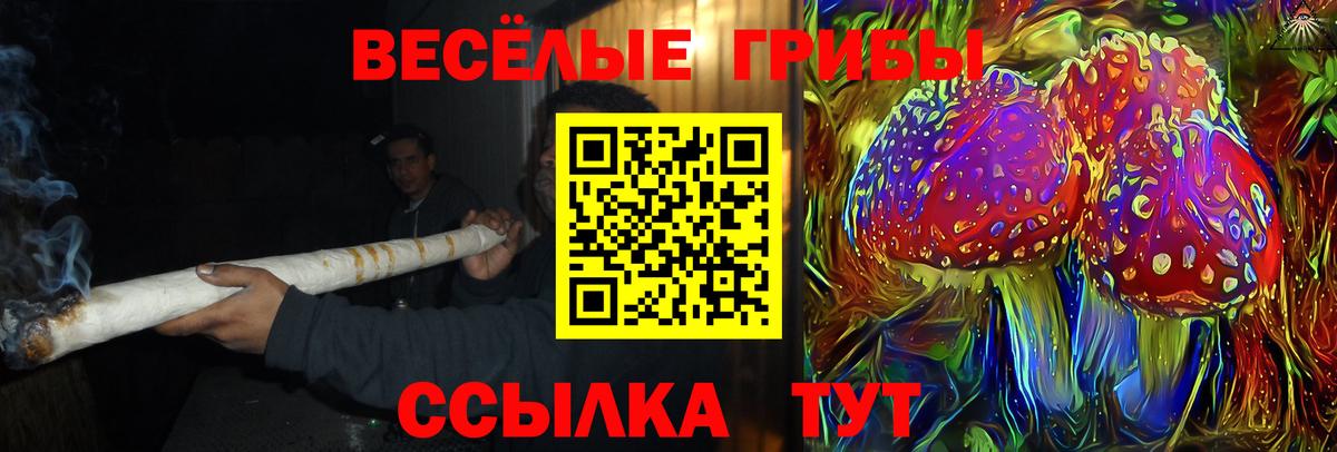Псилоцибиновые грибы Cubensis Коломна